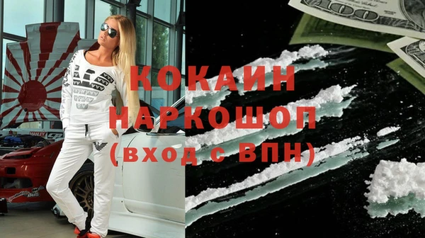 хмурый Алексин