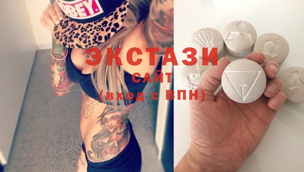 хмурый Алексин