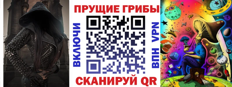 Галлюциногенные грибы Psilocybine cubensis  Купить где  Новотитаровская 
