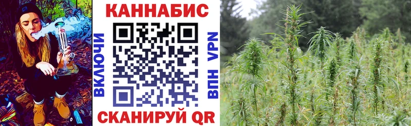Канабис планчик  Купить  Новотитаровская 